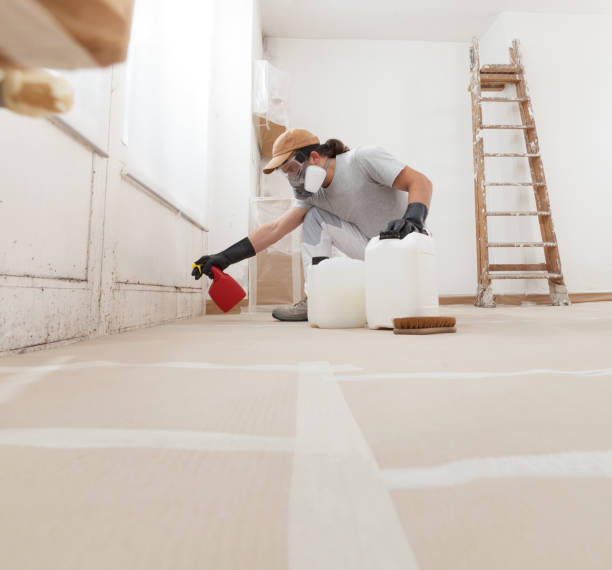 Best Mold Removal for HVAC Installations  in Plattsburgh, NY